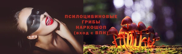 spice Белокуриха