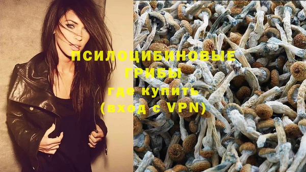 spice Белокуриха