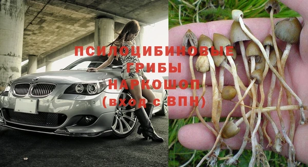 дмт Тында