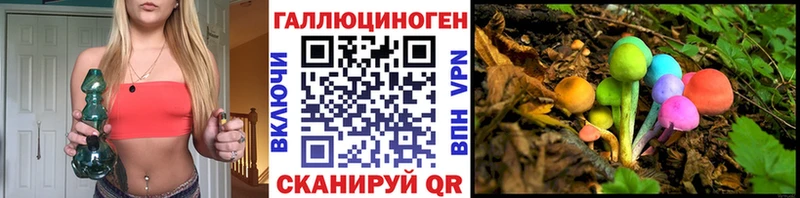 Галлюциногенные грибы Cubensis  где можно купить   Гусев 