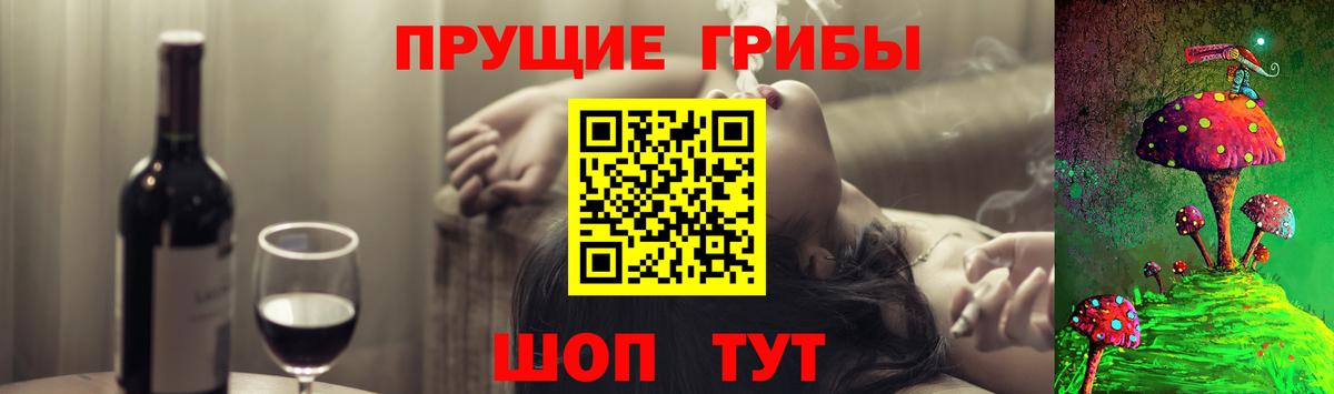 Псилоцибиновые грибы Cubensis  Вход с VPN  Гусев  Галлюциногенные грибы MAGIC MUSHROOMS 